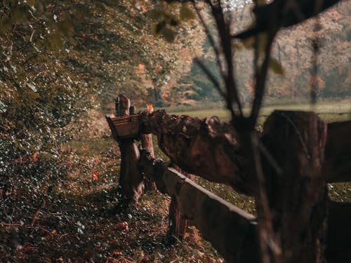 500 Teile Impossible Puzzle,Geschicklichkeitsspiel für die ganze Familie-Zaun, Holz, Bäume 52x38cm von FRUKAT