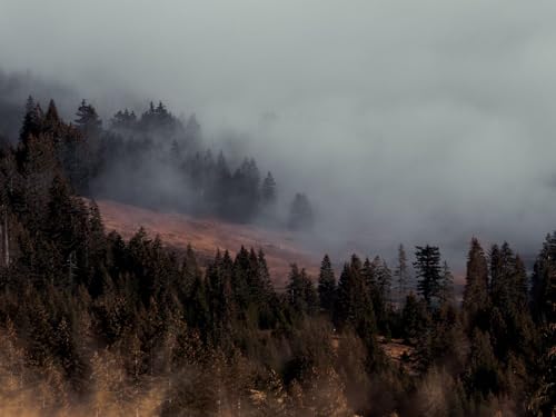 500 Teile Puzzle,Farbenfrohes Puzzle für Erwachsene und Kinder ab 14 Jahren-Bäume, Nebel, Natur 52x38cm von FRUKAT