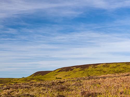 500 Teile Puzzle,Farbenfrohes Puzzle für Erwachsene und Kinder ab 14 Jahren - Hügel Feld Gras 52x38cm 500 Teile Puzzle,Farbenfrohes Puzzle für Erwachsene und Kinder ab 14 Jahren - Hügel Feld Gras 52x38cm von FRUKAT
