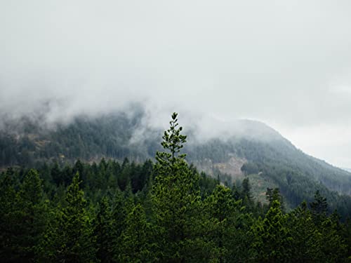 500 Teile Puzzle,Farbenfrohes Puzzle für Erwachsene und Kinder ab 14 Jahren - Wälder Berge Nebel 52x38cm 500 Teile Puzzle,Farbenfrohes Puzzle für Erwachsene und Kinder ab 14 Jahren - Wälder Berge Nebel 52x38cm von FRUKAT