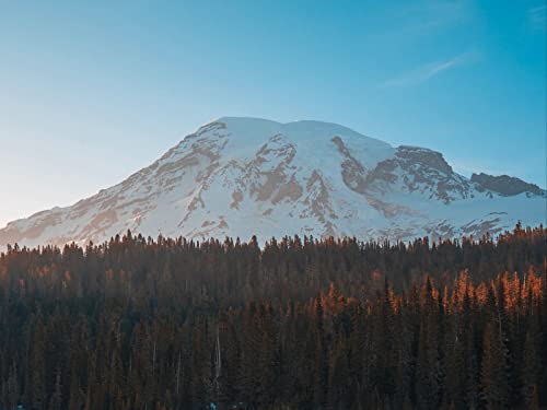 500 Teile Puzzle,Geschicklichkeitsspiel für Die Ganze Familie, Berggipfelwälder 52x38cm 500 Teile Puzzle,Geschicklichkeitsspiel für Die Ganze Familie, Berggipfelwälder 52x38cm von FRUKAT