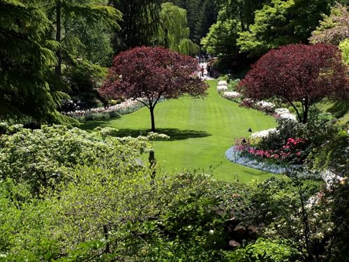 500 Teile Puzzle,Geschicklichkeitsspiel für die ganze Familie, Bäume, Garten, Rasen, Blumen, Sommer 52x38cm von FRUKAT