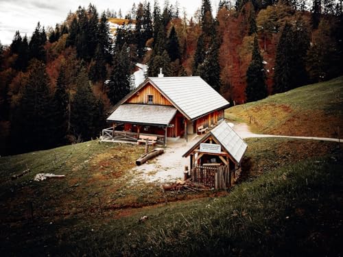 500 Teile Puzzle,Geschicklichkeitsspiel für die ganze Familie,-Haus, Gebäude, Wälder, Bäume, Abgeschiedenheit 52x38cm von FRUKAT