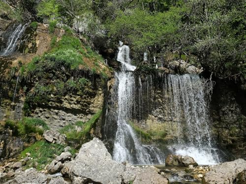 500 Teile Puzzle,Geschicklichkeitsspiel für die ganze Familie,-Wasserfall, Steine, Bäume, Felsen, Natur 52x38cm von FRUKAT