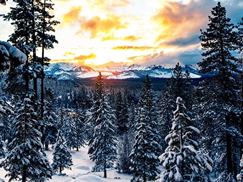 500 Teile Puzzle,Impossible Puzzle,Puzzle-Geschenk, Wälder Berge 52x38cm 500 Teile Puzzle,Impossible Puzzle,Puzzle-Geschenk, Wälder Berge 52x38cm von FRUKAT