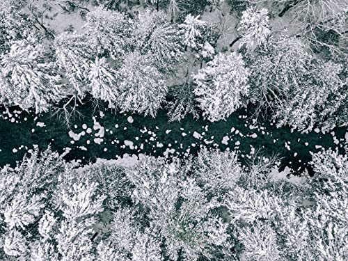 500 Teile Puzzle,Impossible Puzzle,Puzzle-Geschenk, Wälder Fluss Schnee 52x38cm 500 Teile Puzzle,Impossible Puzzle,Puzzle-Geschenk, Wälder Fluss Schnee 52x38cm von FRUKAT