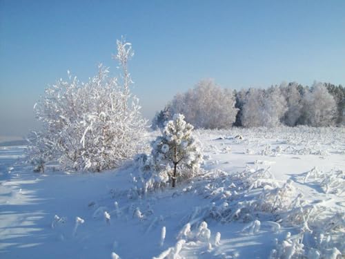 500 Teile Puzzle,Impossible Puzzle für Kleinkinder Jungen Mädchen 14 Jahre alt-Schnee, Raureif, Bäume, Kälte 52x38cm von FRUKAT