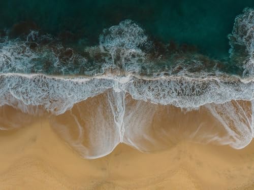 500 Teile Puzzle,Lernen Pädagogische Puzzle Spielzeug -Strand, Küste, Sand 52x38cm von FRUKAT