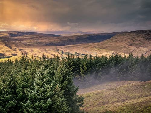 500 Teile Puzzle,Puzzle für Erwachsene,Farbenfrohes Legespiel - Hügel Bäume Landschaft 52x38cm 500 Teile Puzzle,Puzzle für Erwachsene,Farbenfrohes Legespiel - Hügel Bäume Landschaft 52x38cm von FRUKAT