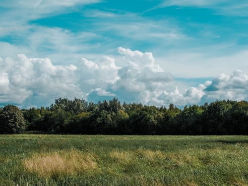 500 Teile Puzzle,Puzzle für Erwachsene,Puzzle Farbenfrohes-Feld, Gras, Wolken 52x38cm von FRUKAT