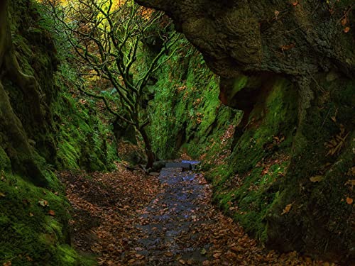 500 Teile Puzzle,Puzzle für Erwachsene,Puzzle Farbenfrohes - Schlucht Treppe Laub 52x38cm 500 Teile Puzzle,Puzzle für Erwachsene,Puzzle Farbenfrohes - Schlucht Treppe Laub 52x38cm von FRUKAT