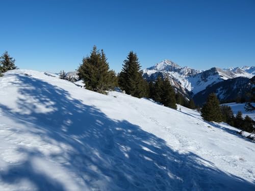 500 Teile Puzzle,Puzzle für Erwachsene,farbenfrohes Legespiel-Schnee, Bäume, Berge 52x38cm von FRUKAT