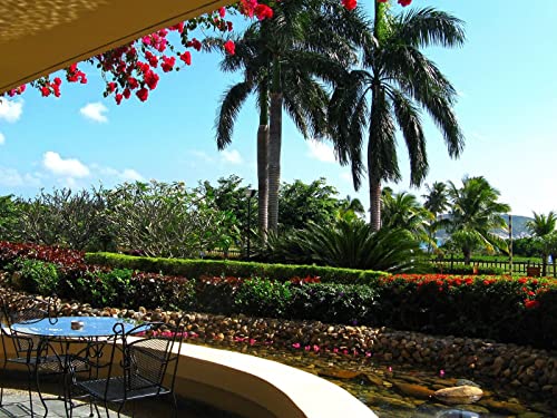 500 Teile Puzzle Farbenfrohes Puzzle für Erwachsene und Kinder - Garten schöner Sommer 52x38cm 500 Teile Puzzle Farbenfrohes Puzzle für Erwachsene und Kinder - Garten schöner Sommer 52x38cm von FRUKAT