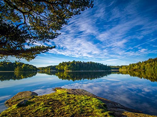 500 Teile Puzzle Farbenfrohes Puzzle für Erwachsene und Kinder - Seeuferbäume 52x38cm 500 Teile Puzzle Farbenfrohes Puzzle für Erwachsene und Kinder - Seeuferbäume 52x38cm von FRUKAT