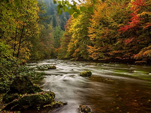 500 Teile Puzzle ab 14 Jahren,Buntes Erwachsenenpuzzle - Harz Deutschland Herbst 52x38cm 500 Teile Puzzle ab 14 Jahren,Buntes Erwachsenenpuzzle - Harz Deutschland Herbst 52x38cm von FRUKAT