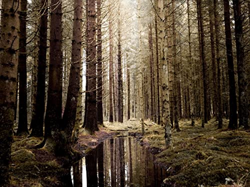 500 Teile Puzzle ab 14 Jahren,Buntes Erwachsenenpuzzle - Wälder Wasser Fichte 52x38cm 500 Teile Puzzle ab 14 Jahren,Buntes Erwachsenenpuzzle - Wälder Wasser Fichte 52x38cm von FRUKAT