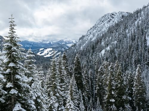 500 Teile Puzzle für Erwachsene und Kinder ab 14 Jahren-Berge, Bäume, Schnee, verschneit, Wälder 52x38cm von FRUKAT