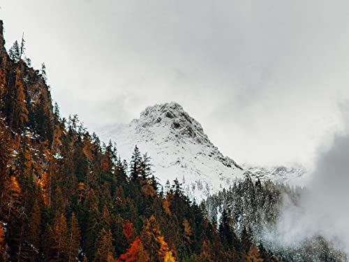 500 Teile Puzzle für Erwachsene und Kinder ab 14 Jahren - Berggipfelwälder 52x38cm 500 Teile Puzzle für Erwachsene und Kinder ab 14 Jahren - Berggipfelwälder 52x38cm von FRUKAT