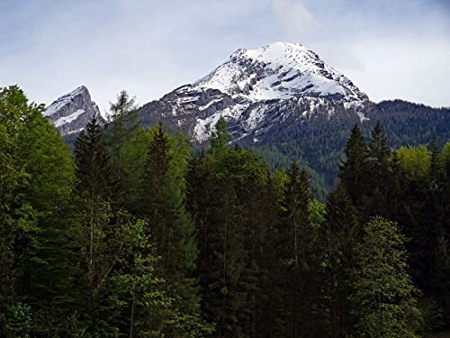 500 Teile Puzzle für Erwachsene und Kinder ab 14 Jahren - Bergwälder Bäume 52x38cm 500 Teile Puzzle für Erwachsene und Kinder ab 14 Jahren - Bergwälder Bäume 52x38cm von FRUKAT