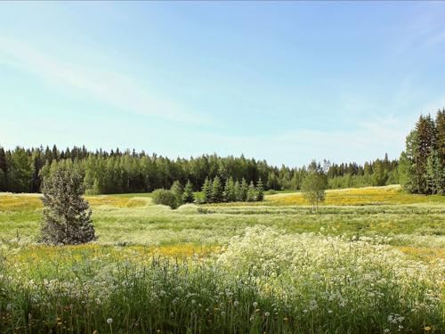 500 Teile Puzzle für Erwachsene und Kinder ab 14 Jahren-Blumen, Feld, Sommer 52x38cm von FRUKAT