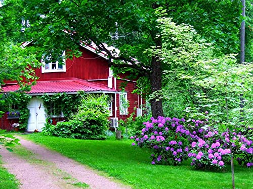 500 Teile Puzzle für Erwachsene und Kinder ab 14 Jahren - Haus Garten Hof 52x38cm 500 Teile Puzzle für Erwachsene und Kinder ab 14 Jahren - Haus Garten Hof 52x38cm von FRUKAT