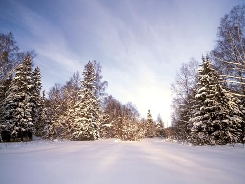 500 Teile Puzzle für Erwachsene und Kinder ab 14 Jahren-Holz, Schnee, Schneeverwehungen, Bäume 52x38cm von FRUKAT