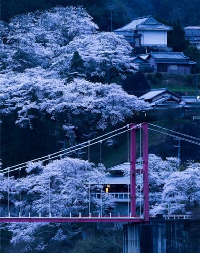 500 Teile Puzzle für Erwachsene und Kinder ab 14 Jahren - Japan, Brücke, Sakura 52x38cm von FRUKAT