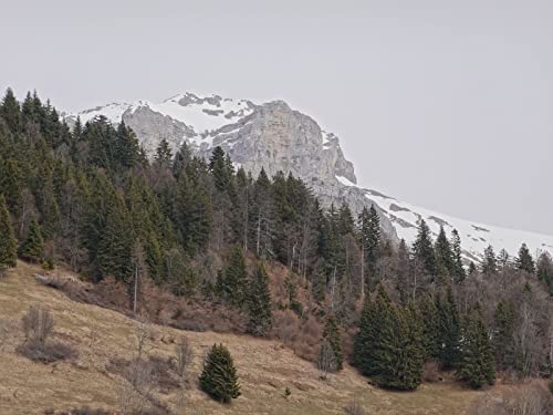 500 Teile Puzzle für Erwachsene und Kinder ab 14 Jahren Puzzle für Wohnkultur - Bergschneehang 52x38cm 500 Teile Puzzle für Erwachsene und Kinder ab 14 Jahren Puzzle für Wohnkultur - Bergschneehang 52x38cm von FRUKAT