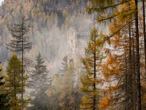 500 Teile Puzzle für Erwachsene und Kinder ab 14 Jahren-Wälder, Burg, Nebel 52x38cm von FRUKAT