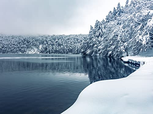 500 Teile Puzzle für Erwachsene und Kinder ab 14 Jahren - Wälder Bäume See 52x38cm 500 Teile Puzzle für Erwachsene und Kinder ab 14 Jahren - Wälder Bäume See 52x38cm von FRUKAT