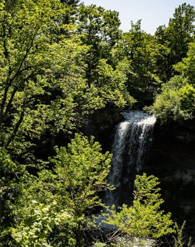 500 Teile Puzzle für Erwachsene und Kinder ab 14 Jahren - Wasserfall, Bäume, Blätter 52x38cm von FRUKAT