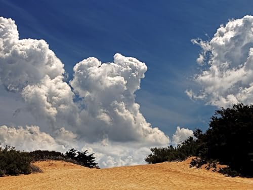 500 Teile Puzzle für Erwachsene und Kinder ab 14 Jahren-Wüste, Vegetation, Himmel 52x38cm von FRUKAT