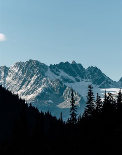 Erwachsenenpuzzle ab 14 Jahren, Berge, Wälder, Schatten 70x50cm von FRUKAT