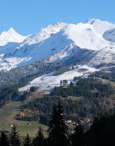 Puzzle 1000 Teile,Geschicklichkeitsspiel für die ganze Familie,-Berge, Schnee, Hang 70x50cm von FRUKAT