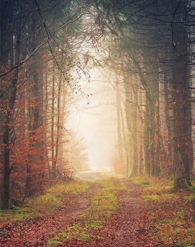 Puzzle 1000 Teile,Geschicklichkeitsspiel für die ganze Familie,-Herbst, Bäume, Nebel 70x50cm von FRUKAT