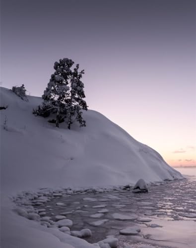 Puzzle 1000 Teile,Geschicklichkeitsspiel für die ganze Familie-Baum, Schnee, Hügel 70x50cm von FRUKAT