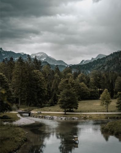 Puzzle 1000 Teile,Geschicklichkeitsspiel für die ganze Familie-Wälder, Flüsse, Berge 70x50cm von FRUKAT