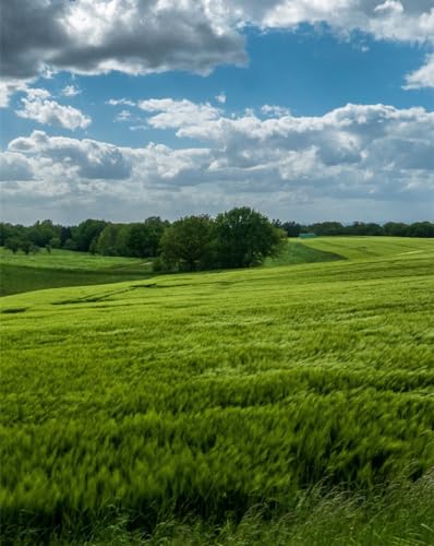 Puzzle 1000 Teile ab 12 Jahren,buntes Erwachsenenpuzzle -Feld, Hügel, Bäume 70x50cm von FRUKAT