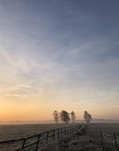 Puzzle 500 Teile,Lernen Pädagogische Puzzle Spielzeug - Feld, Nebel, Sonnenaufgang 52x38cm von FRUKAT