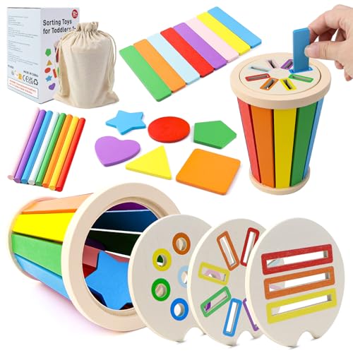 FSWWSF Montessori Spielzeug Steckspielzeug Farbsortierspiel Montessori Sortierspiel FüR Kinder Holzspielzeug Farben Lernen Geschenk FüR MäDchen Jungen (12-36 Monate für Kinder) von FSWWSF