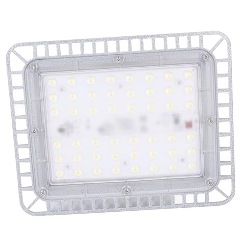 FTVOGUE 100 W 12000 LM LED-Sicherheitsarbeitsleuchte, Wasserexplosionsgeschützte Lampe, Glasabdeckung, Beleuchtungslampe für Fabrik, Mine, Lager, Werkstatt, mit Hochtransparenter von FTVOGUE