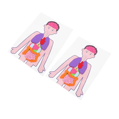 FUNNETOYU 2 Sätze Human Organs Toy DIY Lernspielzeug für Pädagogisches Körpermodell Kreativität Konzentration und Hand Auge Koordination Geeignet für Jungen und Mädchen FUNNETOYU 2 Sätze Human Organs Toy DIY Lernspielzeug für Pädagogisches Körpermodell Kreativität Konzentration und Hand Auge Koordination Geeignet für Jungen und Mädchen von FUNNETOYU