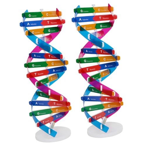FUNNETOYU 2 Stück Teiliges DNA Doppelhelix Modell Bausatz Biologie Lehrmittel Molekulares Lernspielzeug für Interaktive Unterrichtshilfe Geeignet für Schulunterricht und Wissenschaftliche FUNNETOYU 2 Stück Teiliges DNA Doppelhelix Modell Bausatz Biologie Lehrmittel Molekulares Lernspielzeug für Interaktive Unterrichtshilfe Geeignet für Schulunterricht und Wissenschaftliche von FUNNETOYU