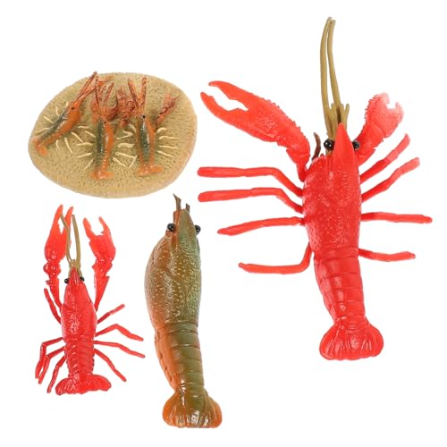 FUNNETOYU 4 Stück Teiliges Plastik Hummer Modell Realistische Wachstumszyklus Spielfiguren Pädagogisches Tiermodell für Lernspielzeug und Klassenzimmerdekoration FUNNETOYU 4 Stück Teiliges Plastik Hummer Modell Realistische Wachstumszyklus Spielfiguren Pädagogisches Tiermodell für Lernspielzeug und Klassenzimmerdekoration von FUNNETOYU