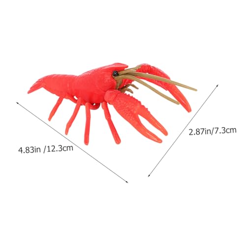 FUNNETOYU Lernspielzeug Lebenszyklus Hummerling Modell Krabbenwachstum Realistische Details Kindersicheres Kunststoffmaterial Pädagogisches Krebs kognitionsspielzeug FUNNETOYU Lernspielzeug Lebenszyklus Hummerling Modell Krabbenwachstum Realistische Details Kindersicheres Kunststoffmaterial Pädagogisches Krebs kognitionsspielzeug von FUNNETOYU