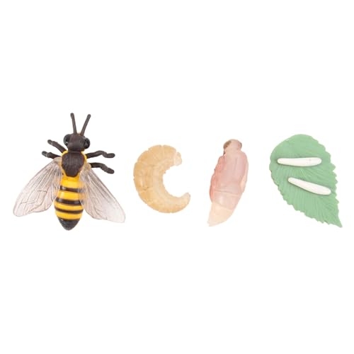 FUNNETOYU Realistisches Animal Evolution Model Bienen Lebenszyklus Simulation Lernspielzeug Material Pädagogisch Geeignet als Storytelling Dekoration FUNNETOYU Realistisches Animal Evolution Model Bienen Lebenszyklus Simulation Lernspielzeug Material Pädagogisch Geeignet als Storytelling Dekoration von FUNNETOYU