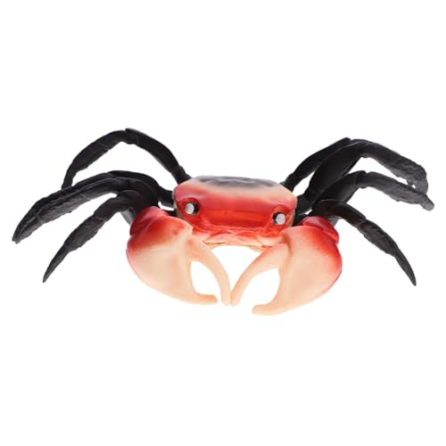 FUNNETOYU Realistisches Krabbenmodell Simulation Meerestiere Deko Lernspielzeug für Aquarium und Zimmer FUNNETOYU Realistisches Krabbenmodell Simulation Meerestiere Deko Lernspielzeug für Aquarium und Zimmer von FUNNETOYU