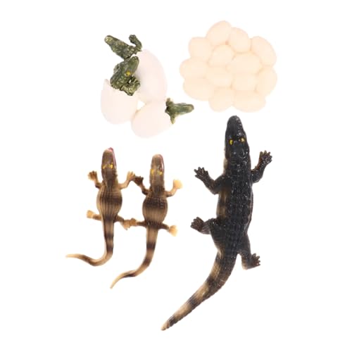 FUNNETOYU Realistisches Krokodil Lebenszyklus Spielset aus Umweltfreundliches Lernspielzeug für Foto Requisit und Spannende Meereswelt Simulation für Frühe Bildung FUNNETOYU Realistisches Krokodil Lebenszyklus Spielset aus Umweltfreundliches Lernspielzeug für Foto Requisit und Spannende Meereswelt Simulation für Frühe Bildung von FUNNETOYU