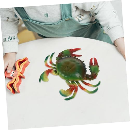 FUNNETOYU Simuliertes Krabbenmodell Pädagogisch Realistisch Farbiges Meerestier Tierdeko Lernspielzeug für Kleinkinder Ab Monate FUNNETOYU Simuliertes Krabbenmodell Pädagogisch Realistisch Farbiges Meerestier Tierdeko Lernspielzeug für Kleinkinder Ab Monate von FUNNETOYU