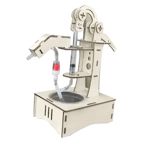 FUNNETOYU Wasserspielzeug Pumpenexperiment Modell Wasserpumpe Physik Experiment Lernspielzeug für Stem Wissenschaft DIY Experimentierset FUNNETOYU Wasserspielzeug Pumpenexperiment Modell Wasserpumpe Physik Experiment Lernspielzeug für Stem Wissenschaft DIY Experimentierset von FUNNETOYU